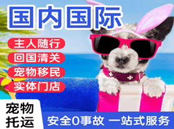黄花航空运输国际宠物托运 【国